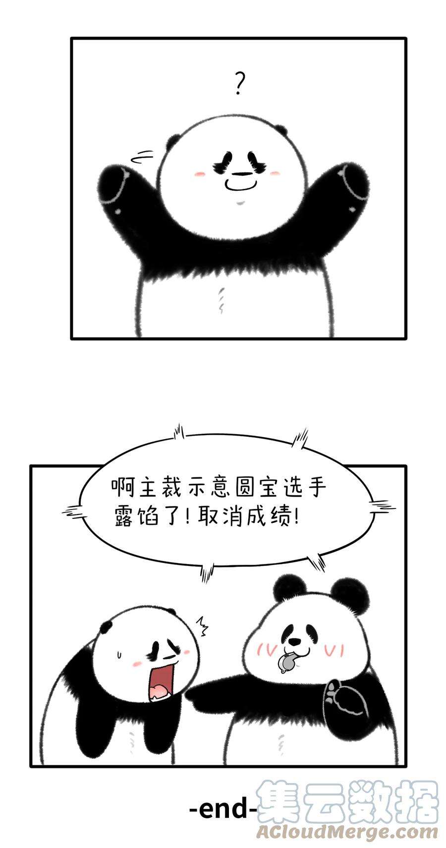 快把动物放进冰箱334 今年的元宵，就要滚出竞技体育的气氛！