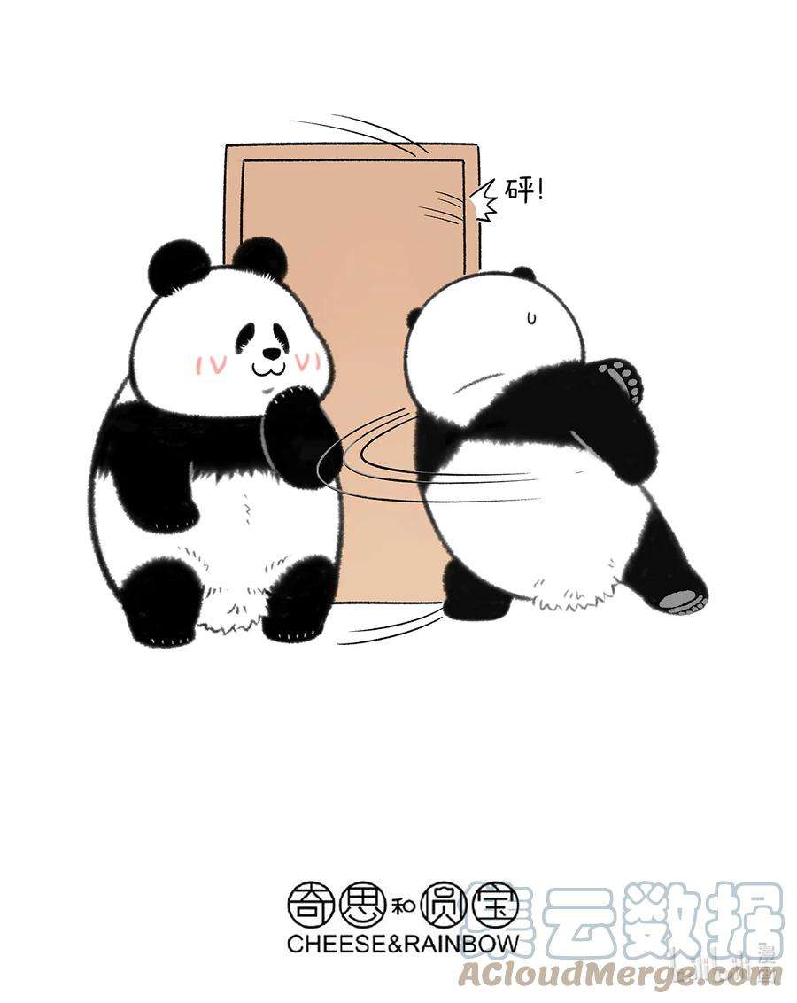 快把动物放进冰箱336 真是个寒冷的春天……