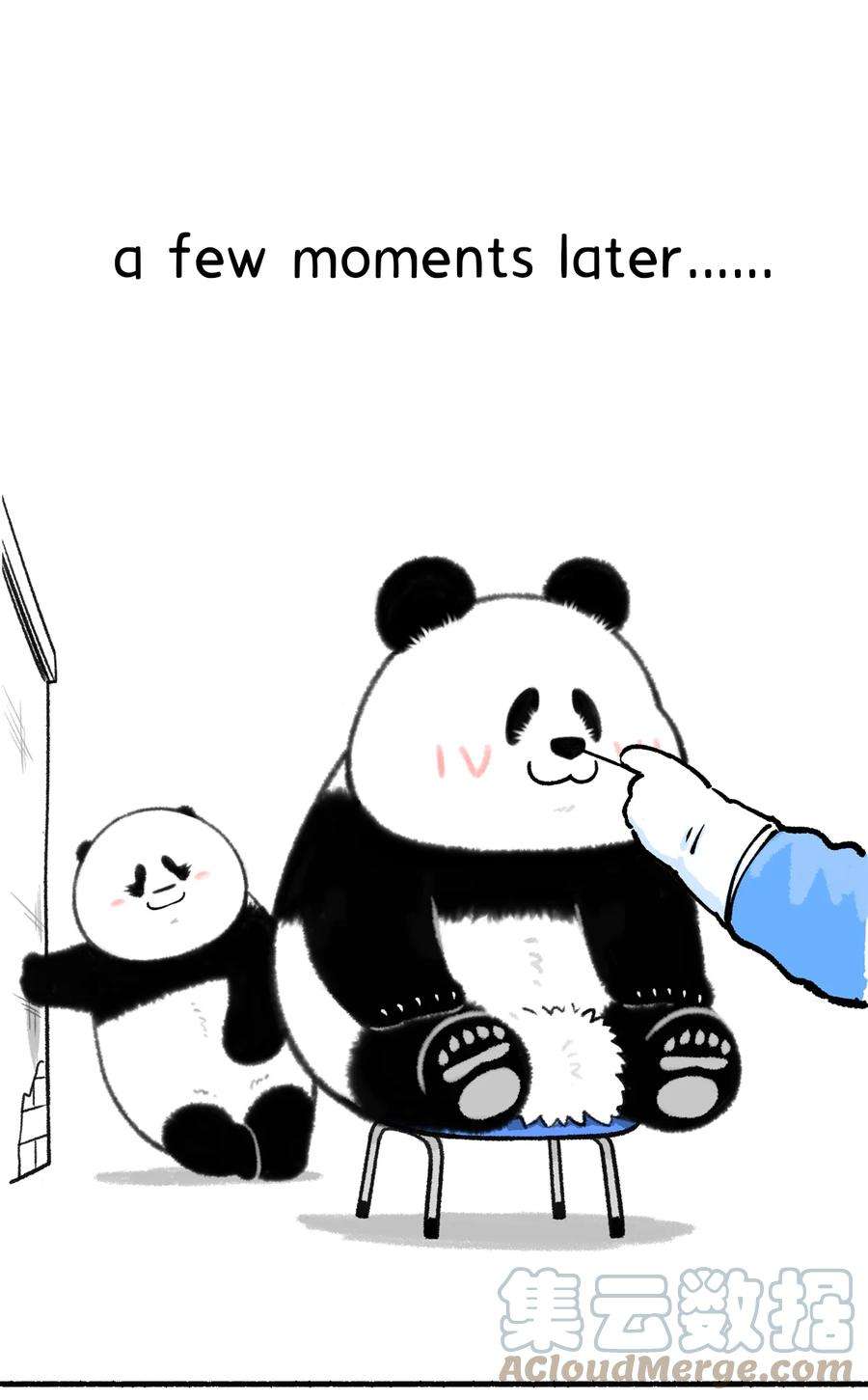 快把动物放进冰箱341 如何降低鼻拭子核酸检测的痛苦~