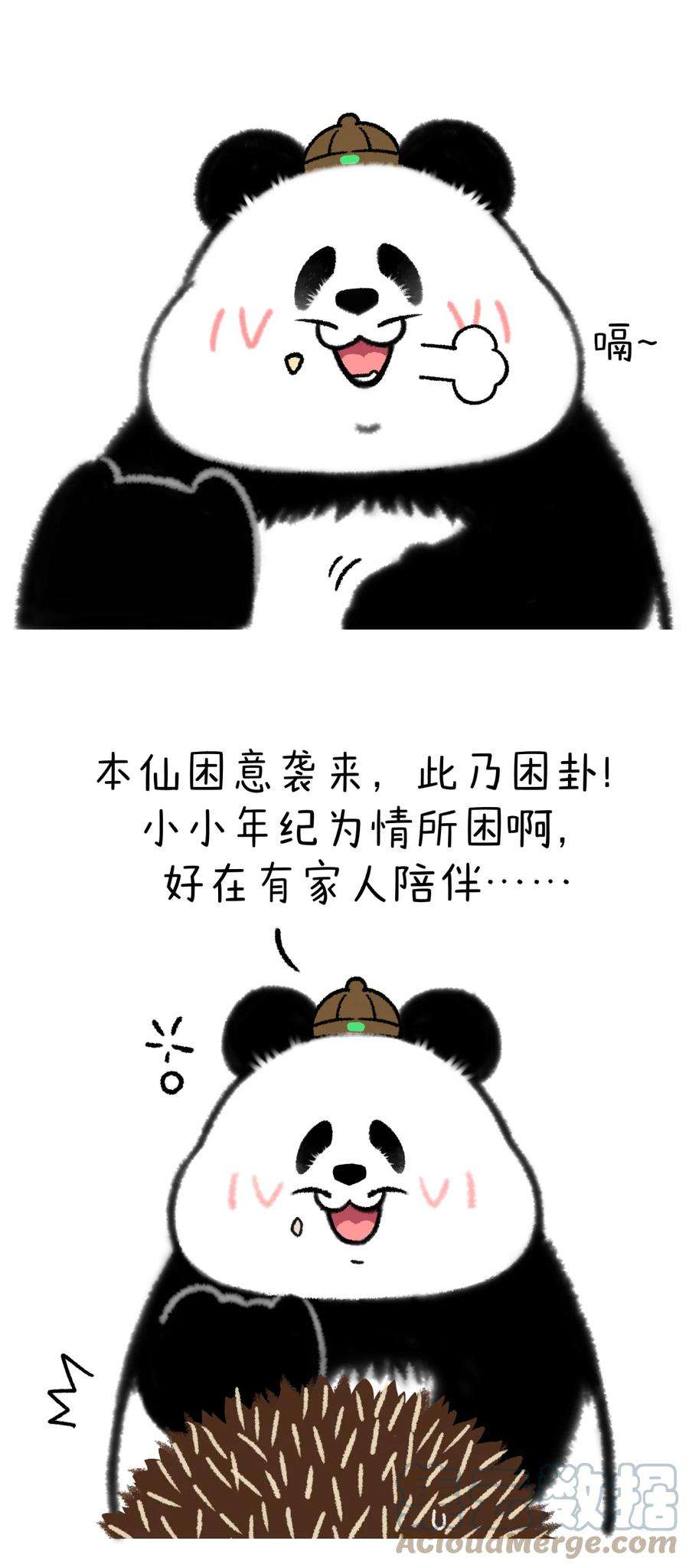 快把动物放进冰箱346 问世间情为何物，直叫人“下楼做核酸”~