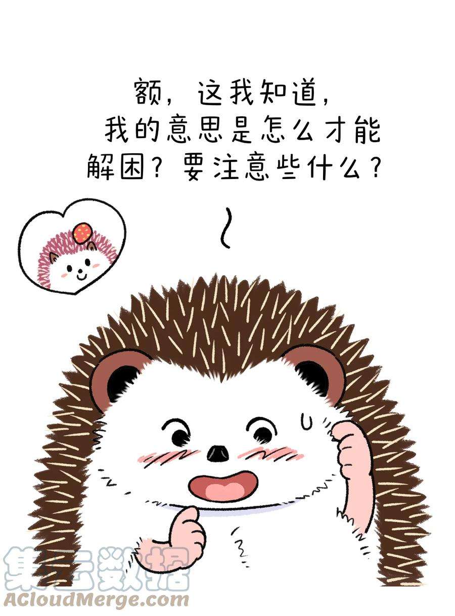 快把动物放进冰箱346 问世间情为何物，直叫人“下楼做核酸”~