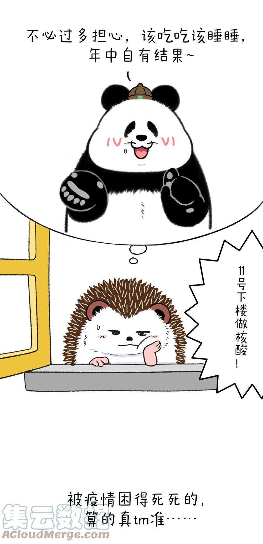 快把动物放进冰箱346 问世间情为何物，直叫人“下楼做核酸”~