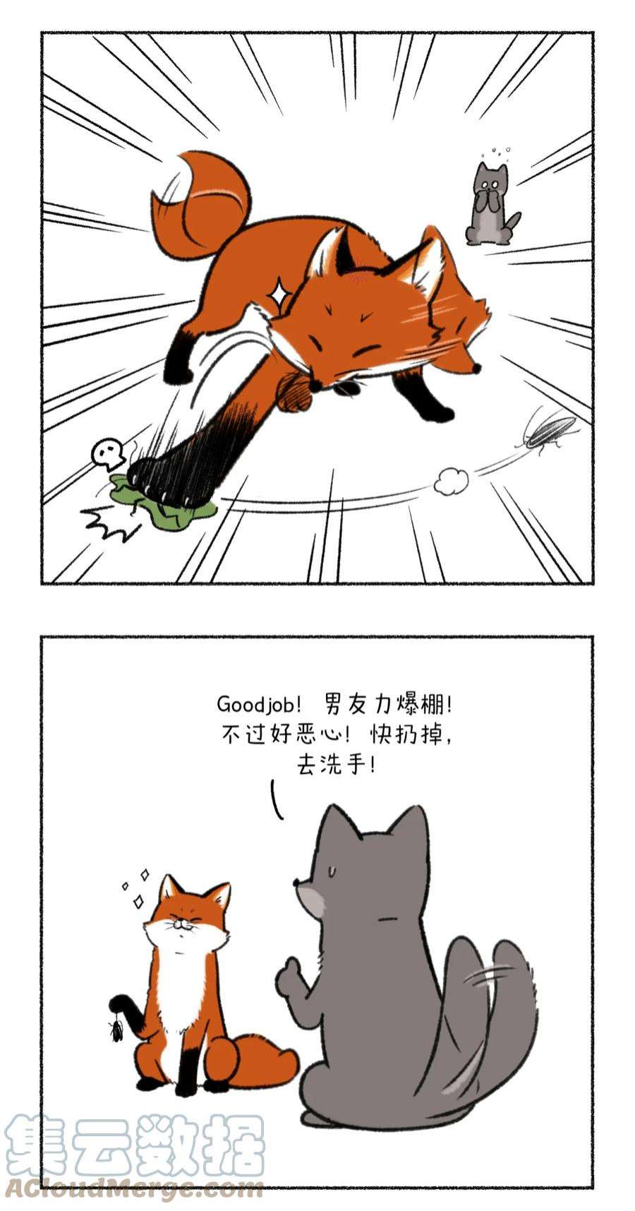 快把动物放进冰箱350 大家记得定期叫你的男票来接受净化~