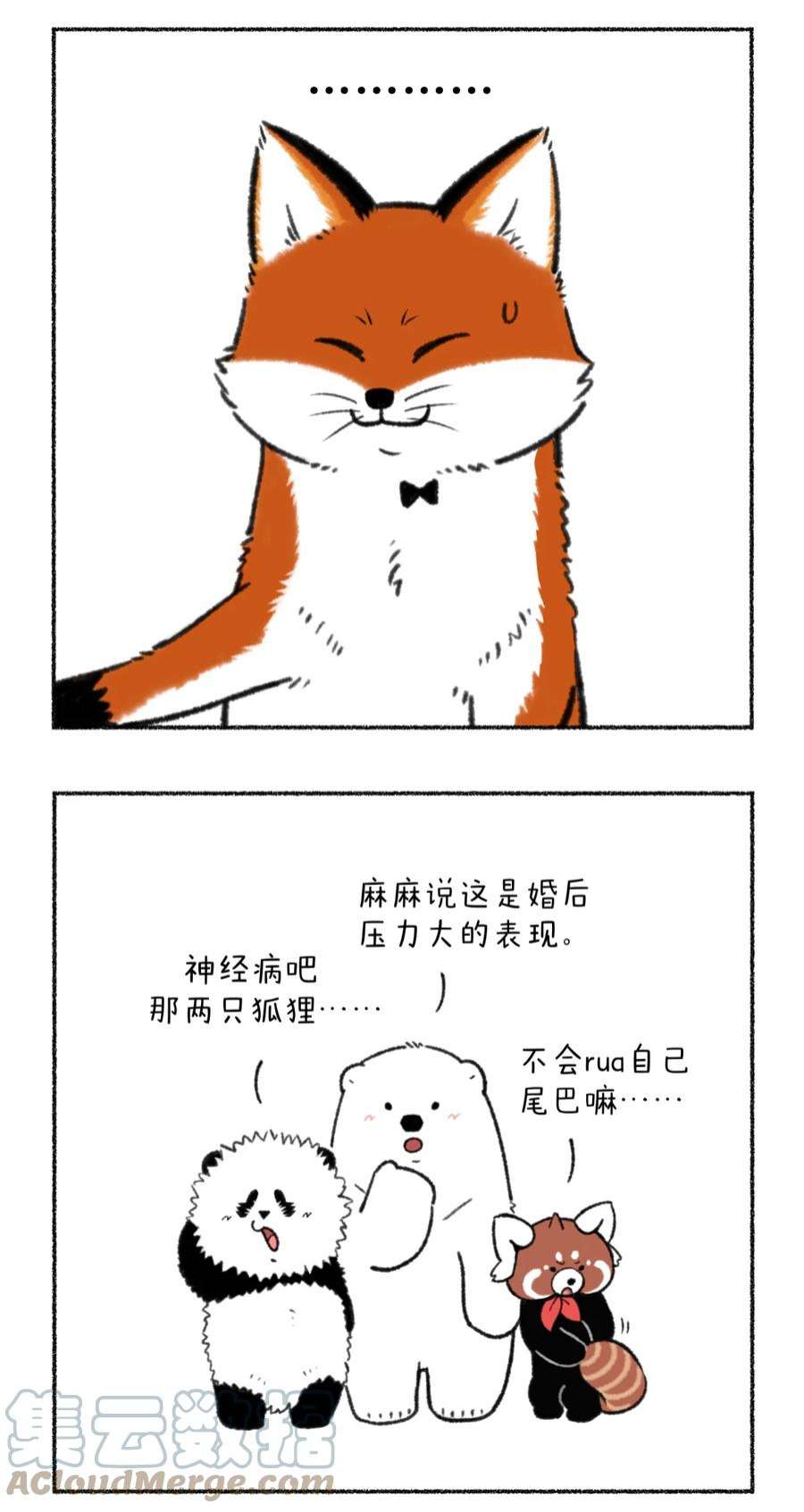 快把动物放进冰箱350 大家记得定期叫你的男票来接受净化~
