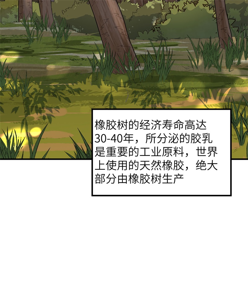 我和妹子们的荒岛余生189 制作橡胶