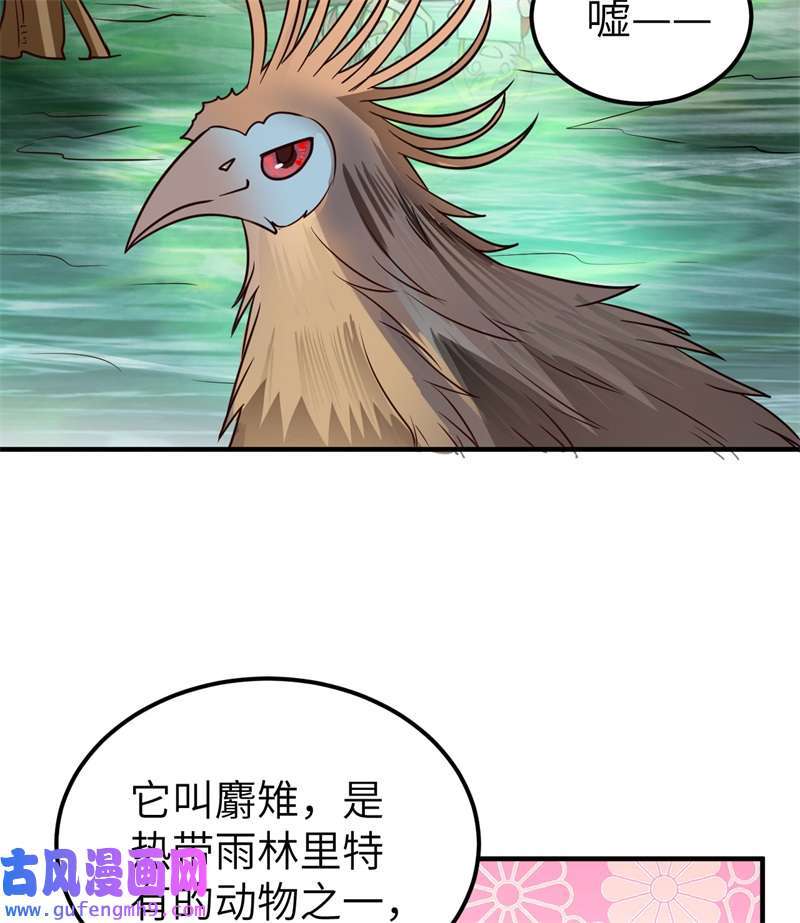 我和妹子们的荒岛余生204 离开的时间