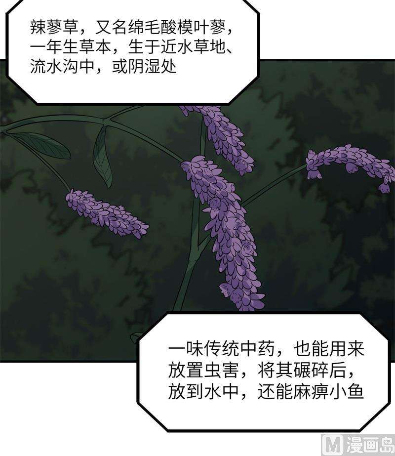 我和妹子们的荒岛余生154 辣蓼草
