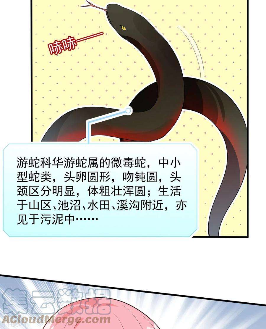 我和妹子们的荒岛余生2话