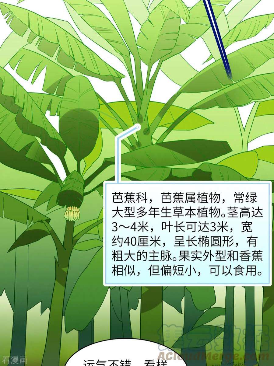 我和妹子们的荒岛余生8话