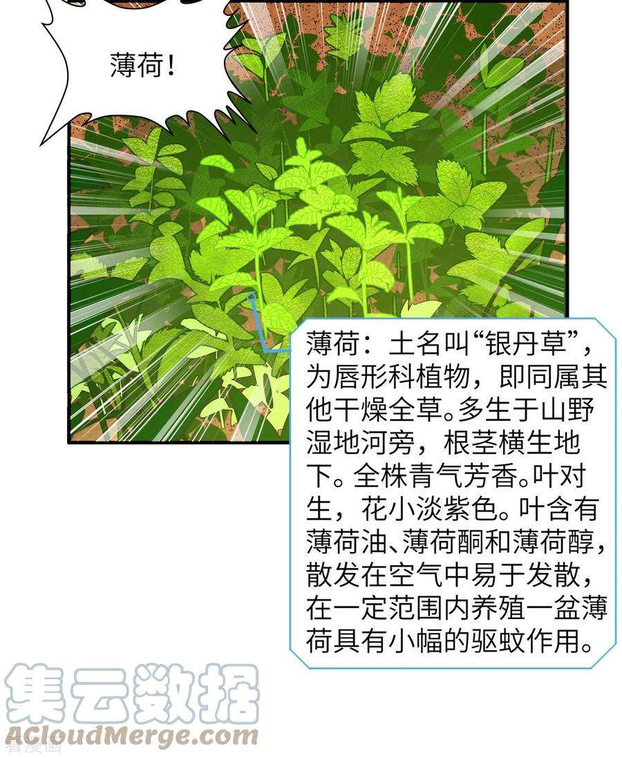 我和妹子们的荒岛余生9话