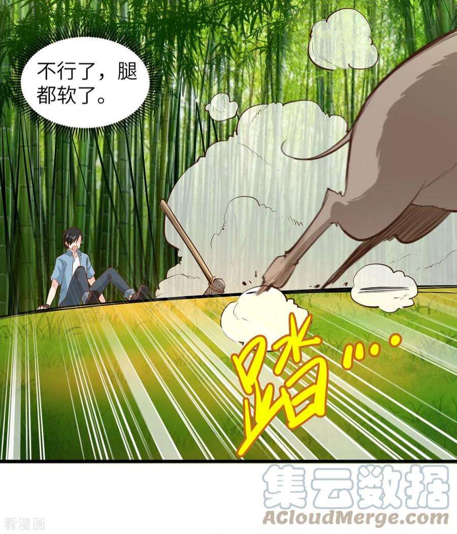 我和妹子们的荒岛余生19话