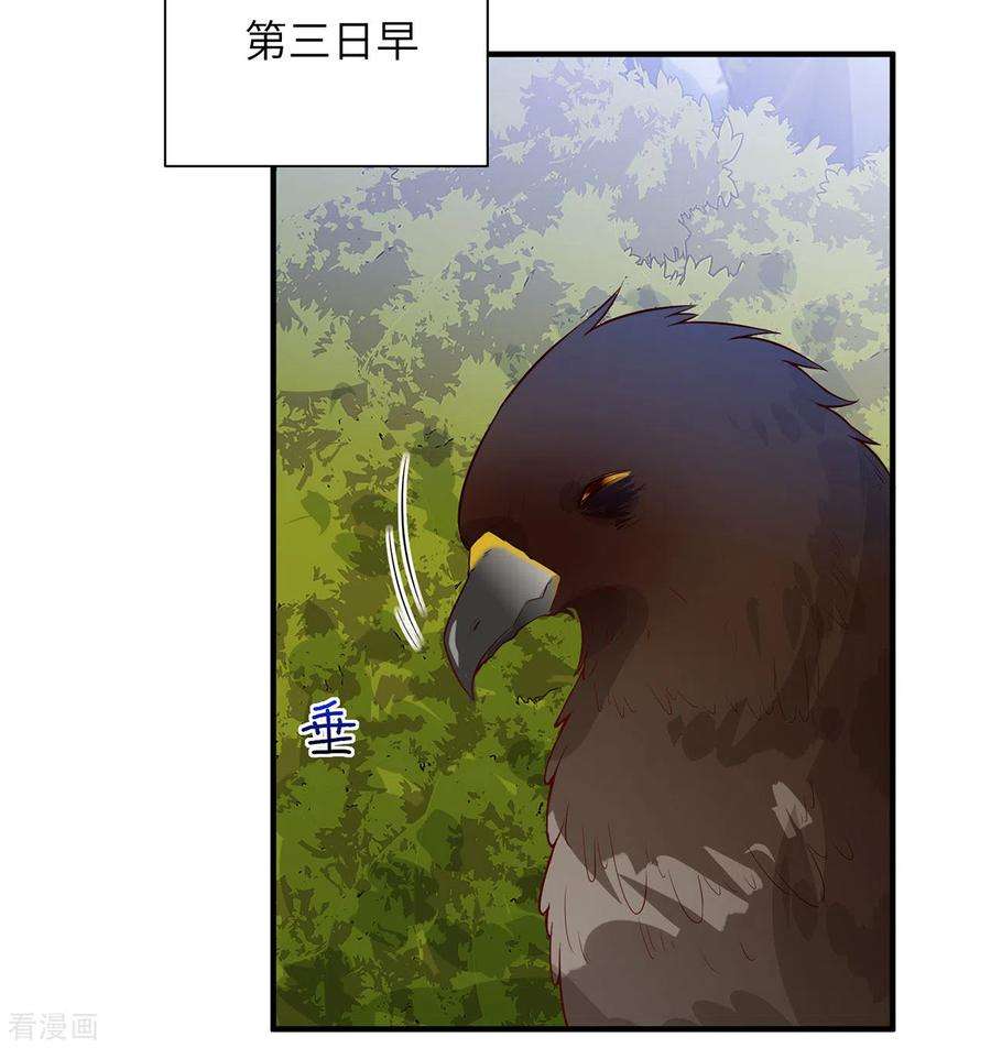 我和妹子们的荒岛余生48话