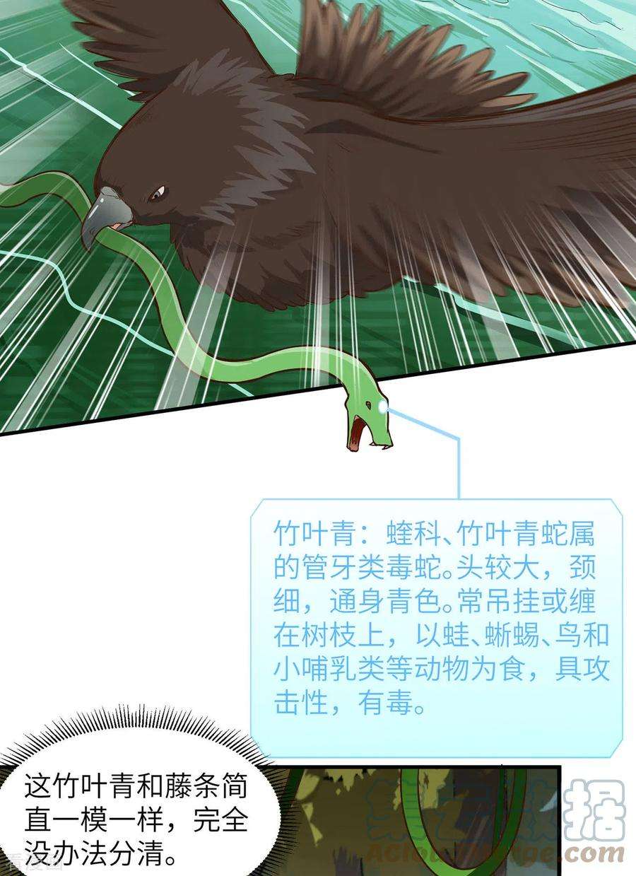 我和妹子们的荒岛余生52话