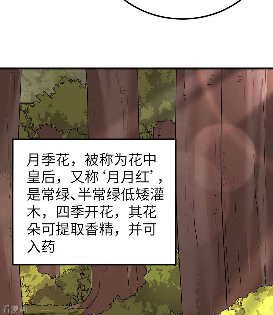 我和妹子们的荒岛余生138话