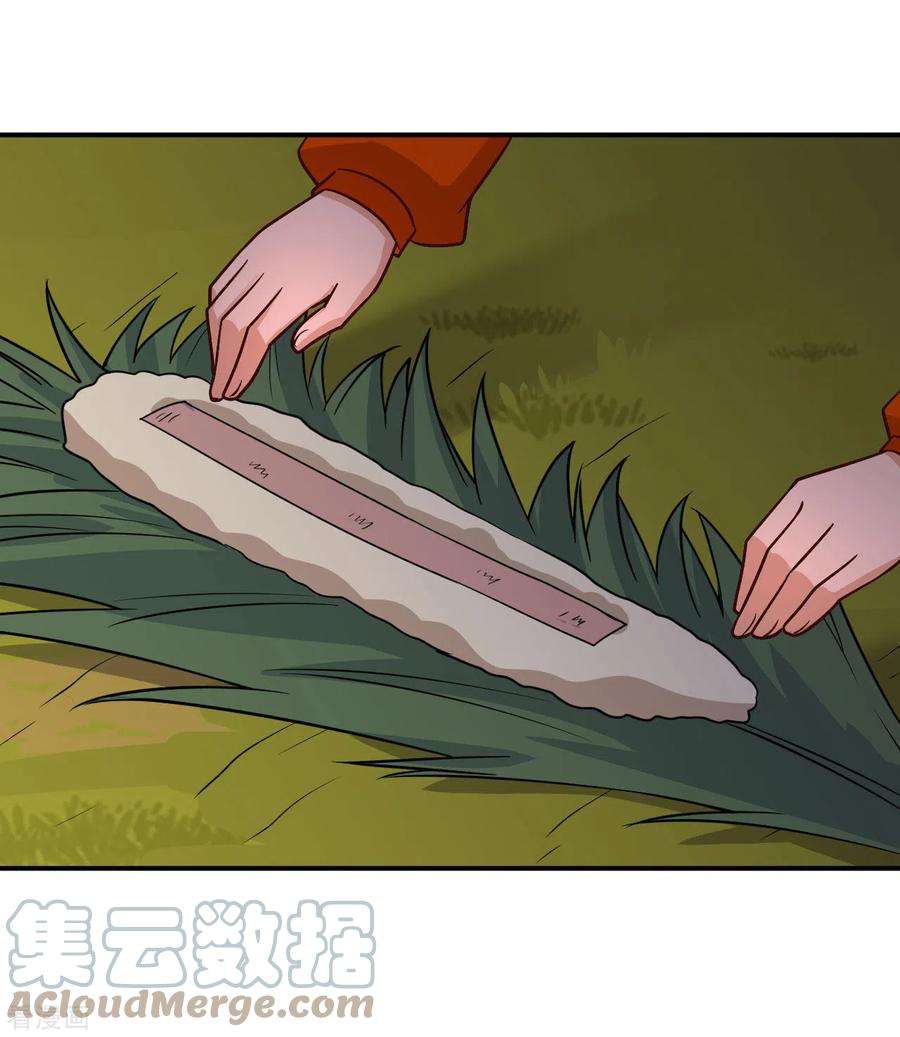 我和妹子们的荒岛余生160话
