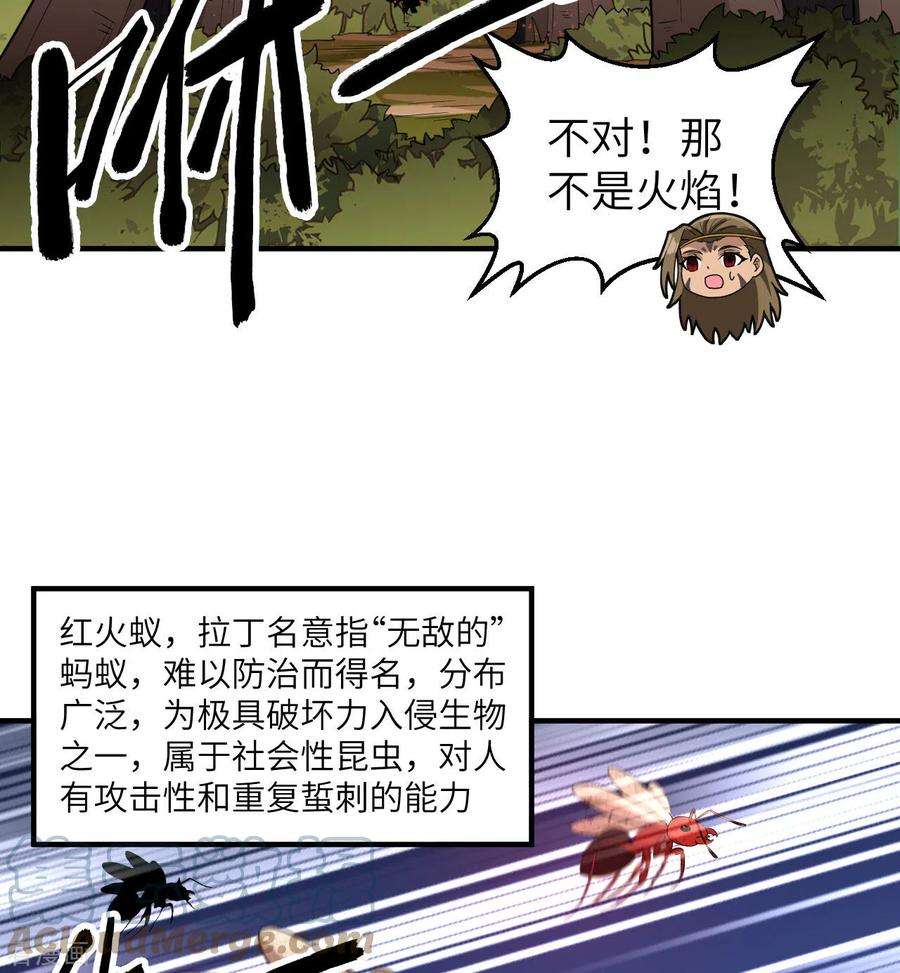 我和妹子们的荒岛余生166话