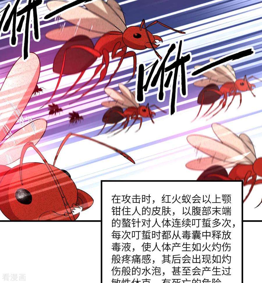 我和妹子们的荒岛余生166话