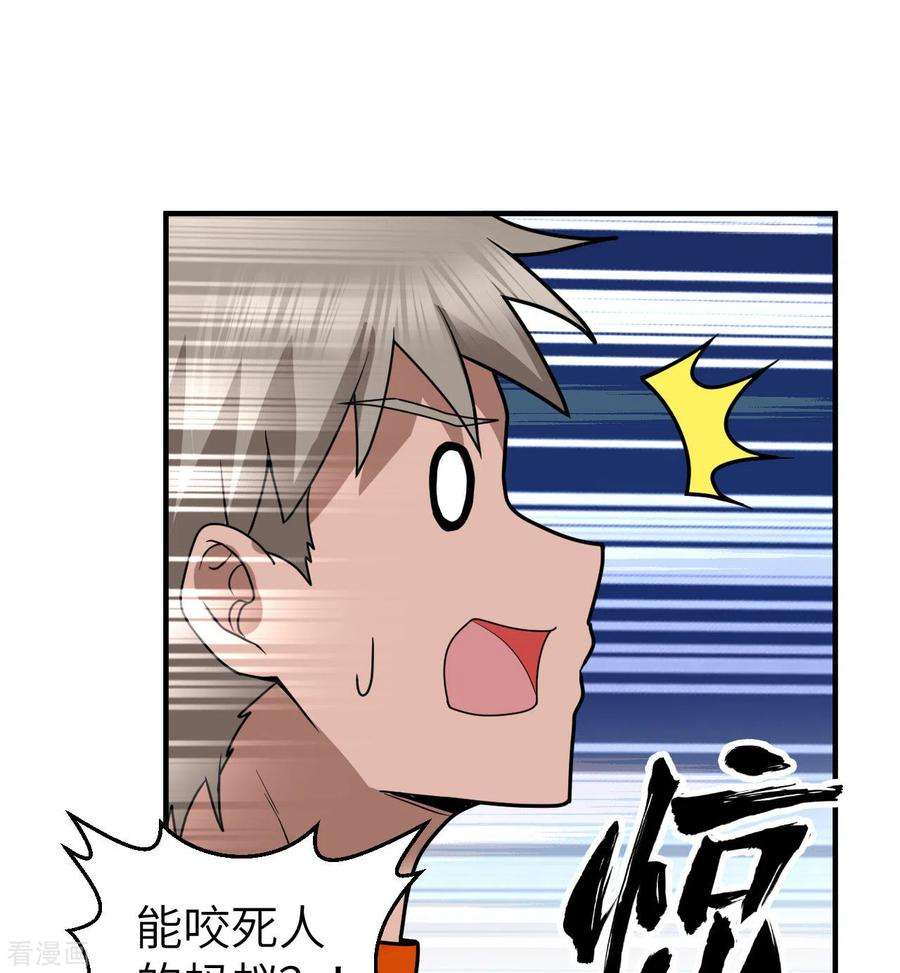 我和妹子们的荒岛余生166话