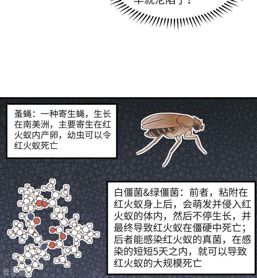 我和妹子们的荒岛余生167话