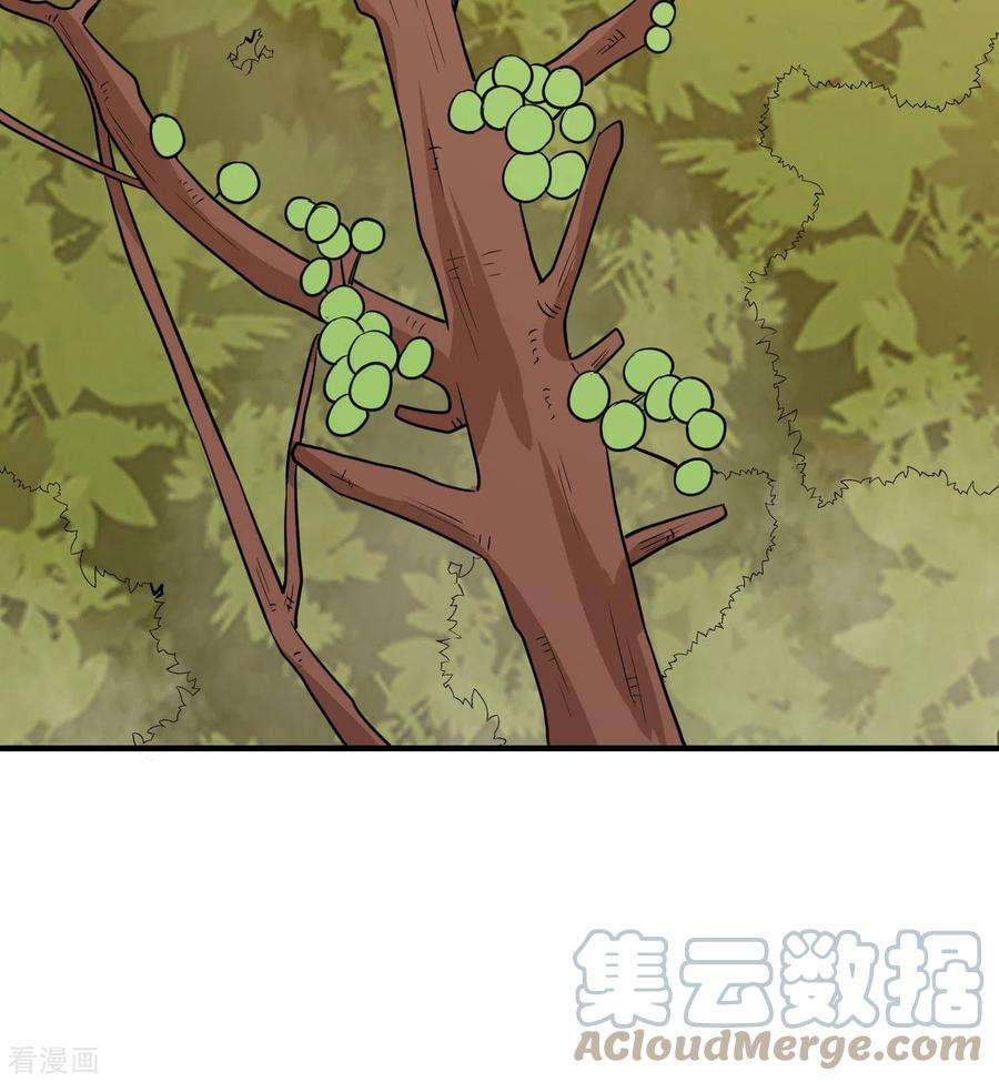 我和妹子们的荒岛余生167话