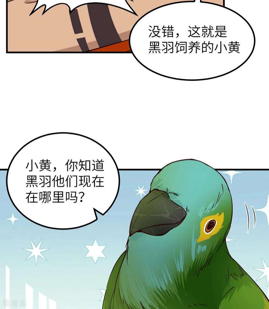 我和妹子们的荒岛余生174话