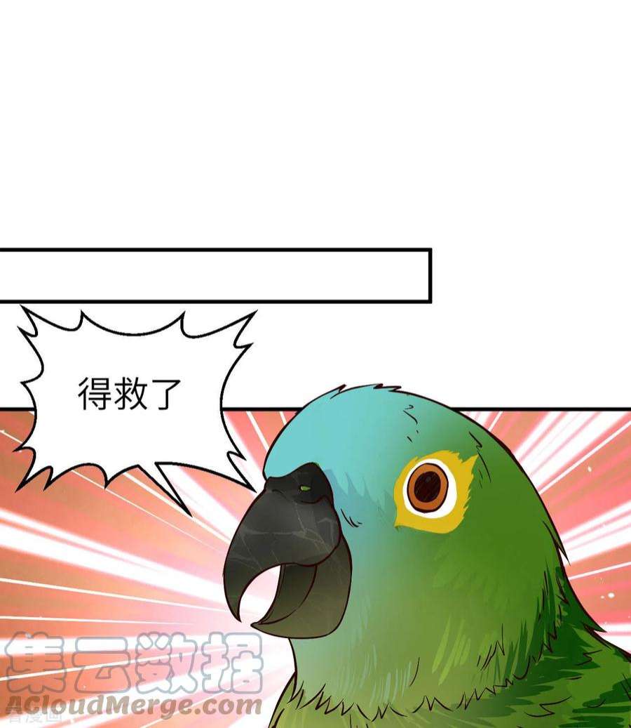 我和妹子们的荒岛余生174话