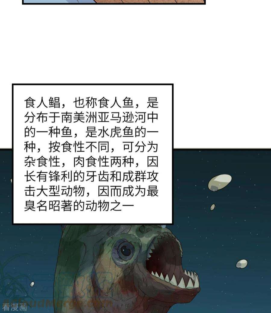 我和妹子们的荒岛余生178话