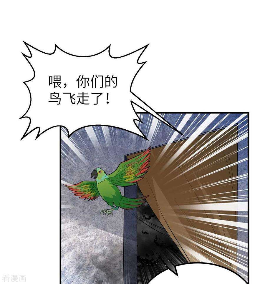 我和妹子们的荒岛余生179话