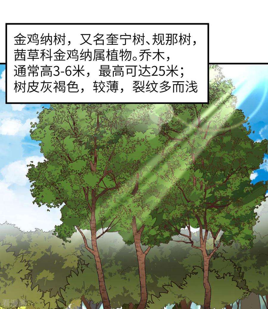 我和妹子们的荒岛余生185话