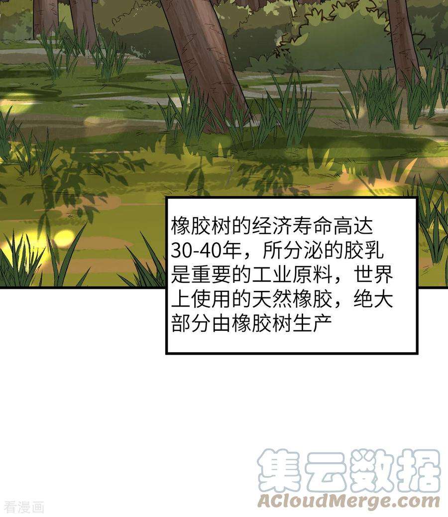 我和妹子们的荒岛余生189话