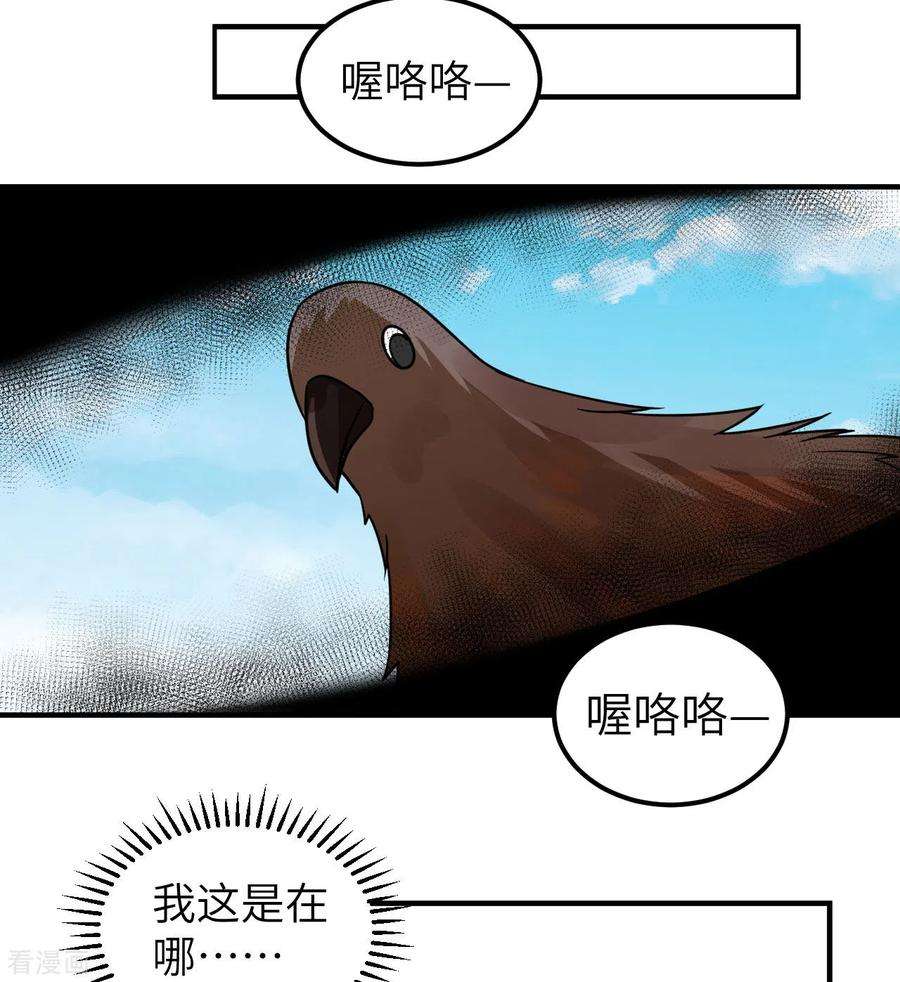 我和妹子们的荒岛余生213话