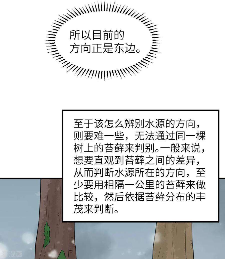 我和妹子们的荒岛余生225话