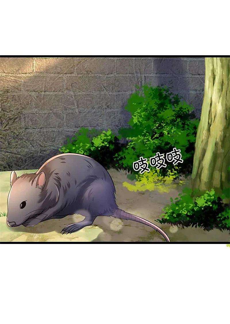 我是大仙尊368话 苍龙战队，永不放弃！