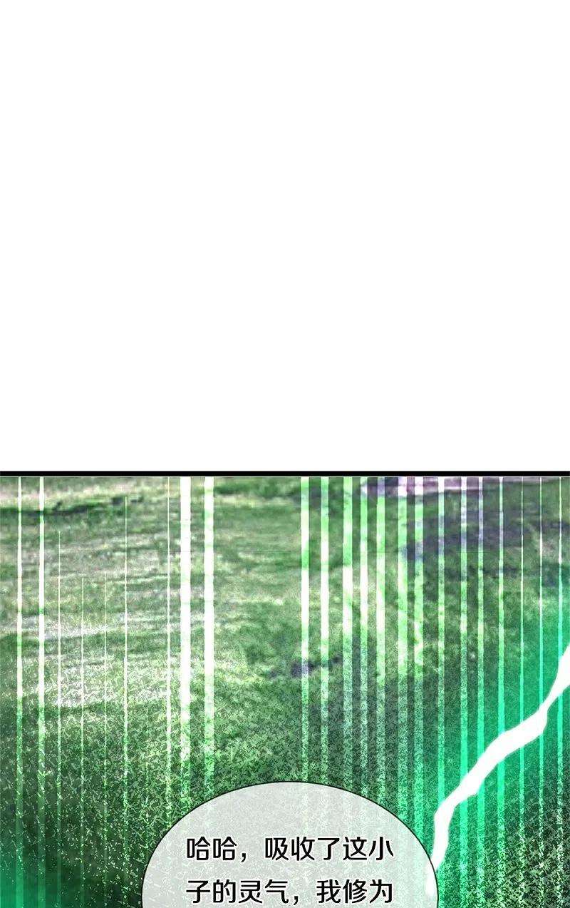 我是大仙尊371话 深林有宝，斩杀树妖