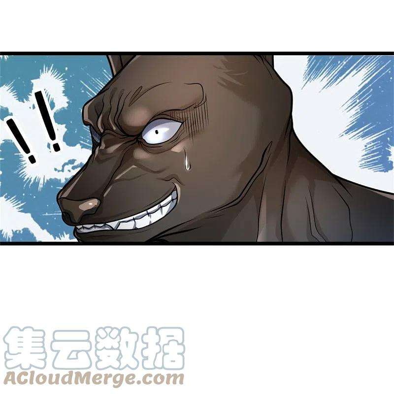 我是大仙尊380话 不配出手，巧遇故人