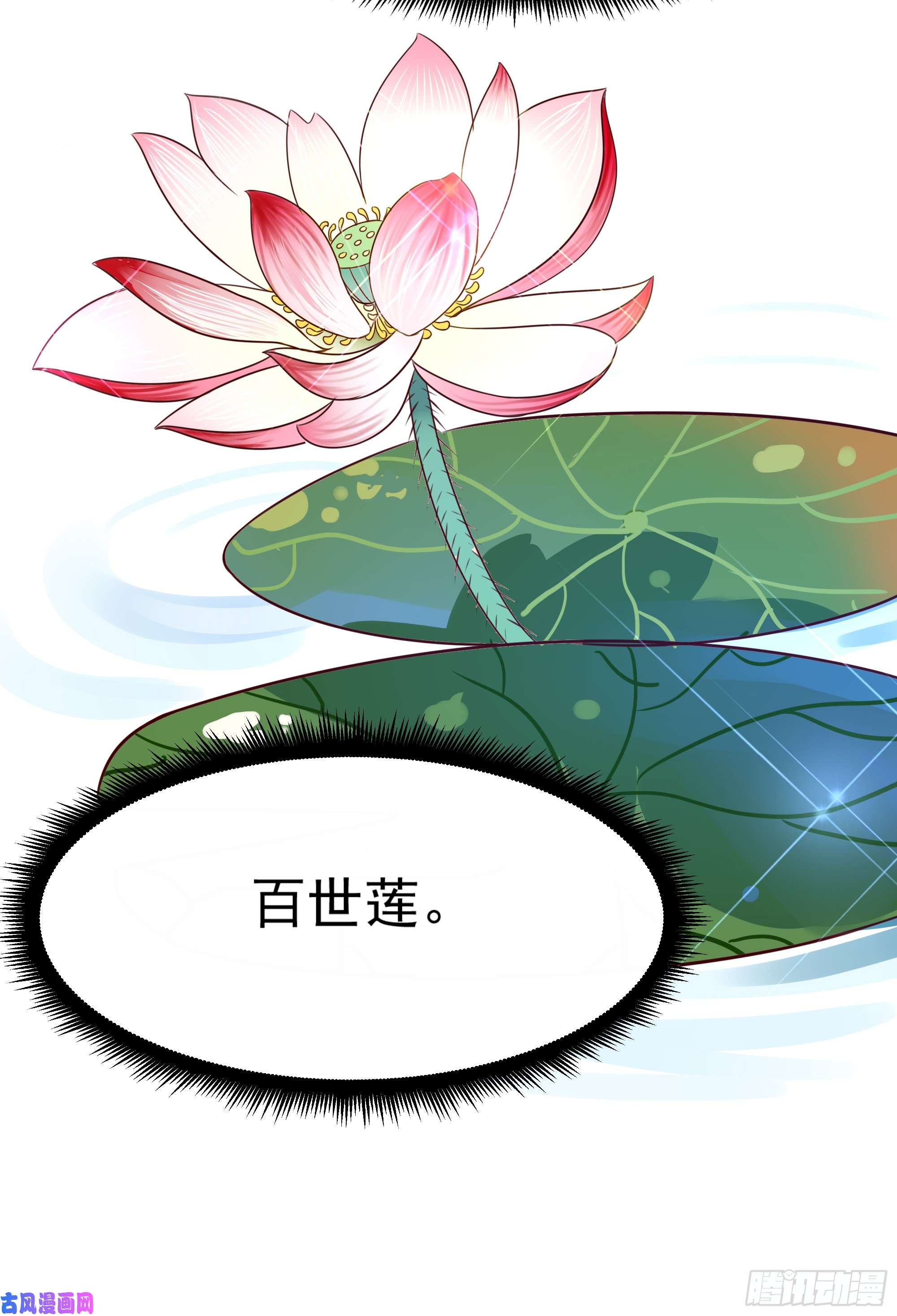 重生都市天尊第88话 古风美人