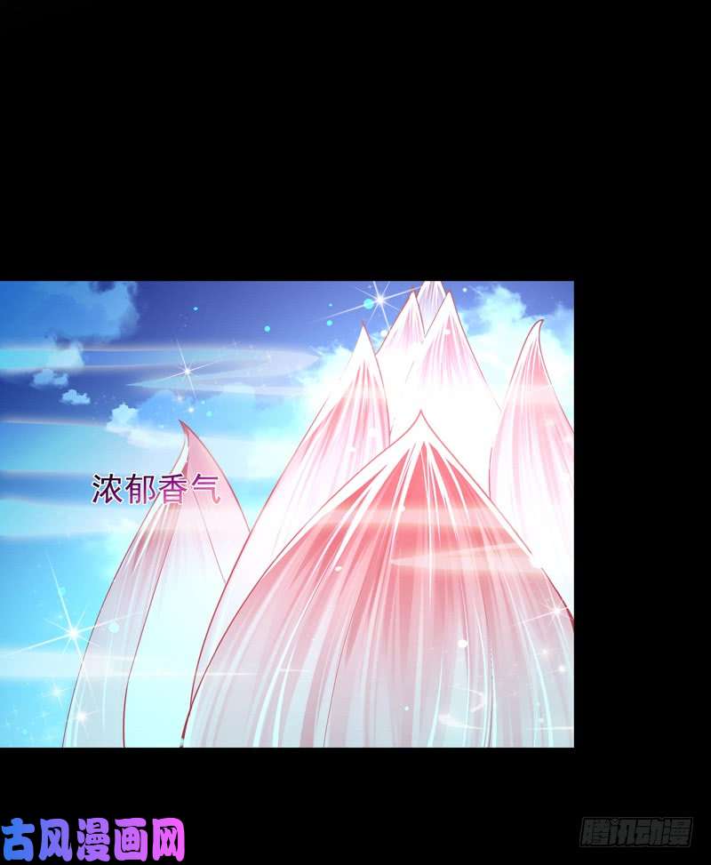 重生都市天尊第91话 上古仙池