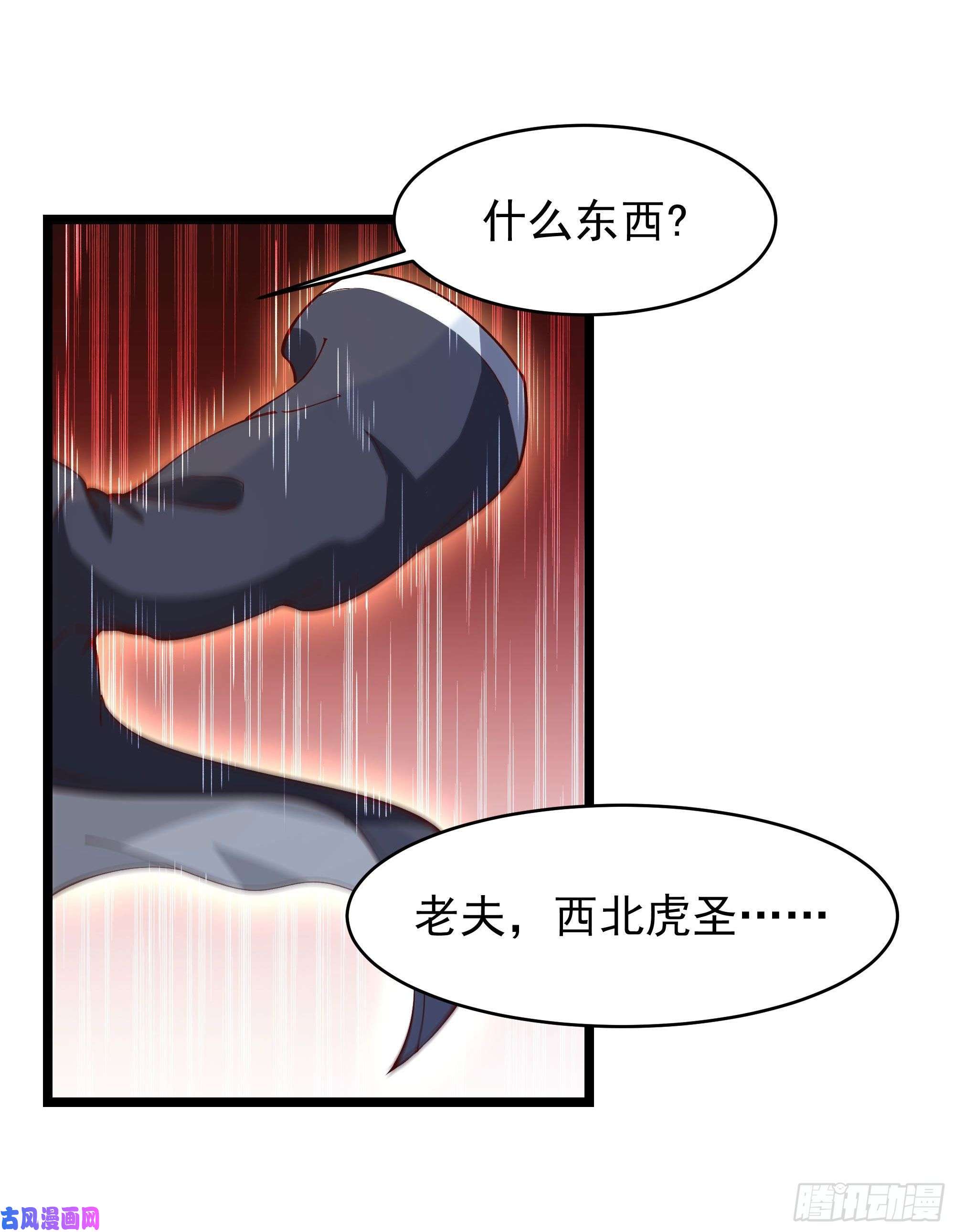 重生都市天尊第232话 西北虎圣