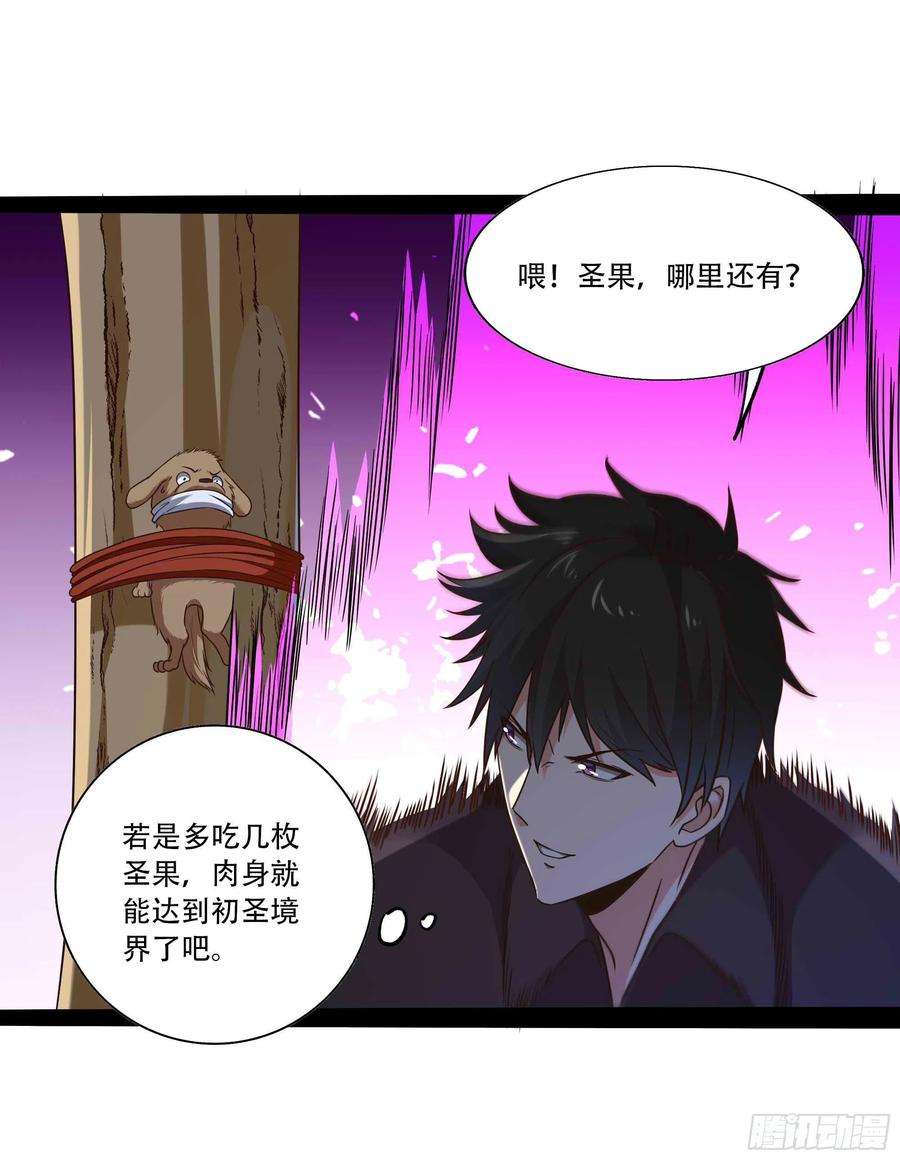 重生都市天尊294话 驾驭神传