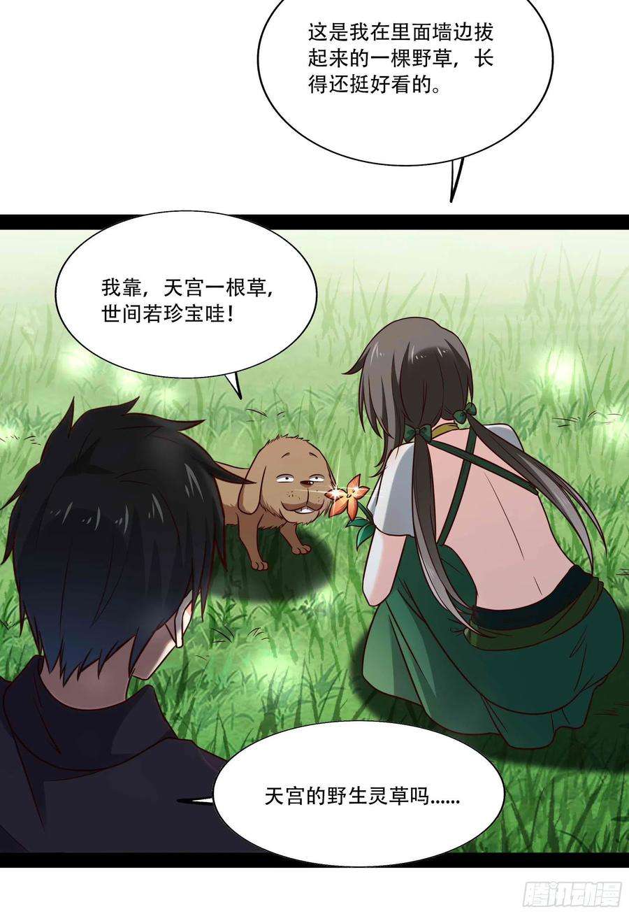 重生都市天尊297话 欲求不满