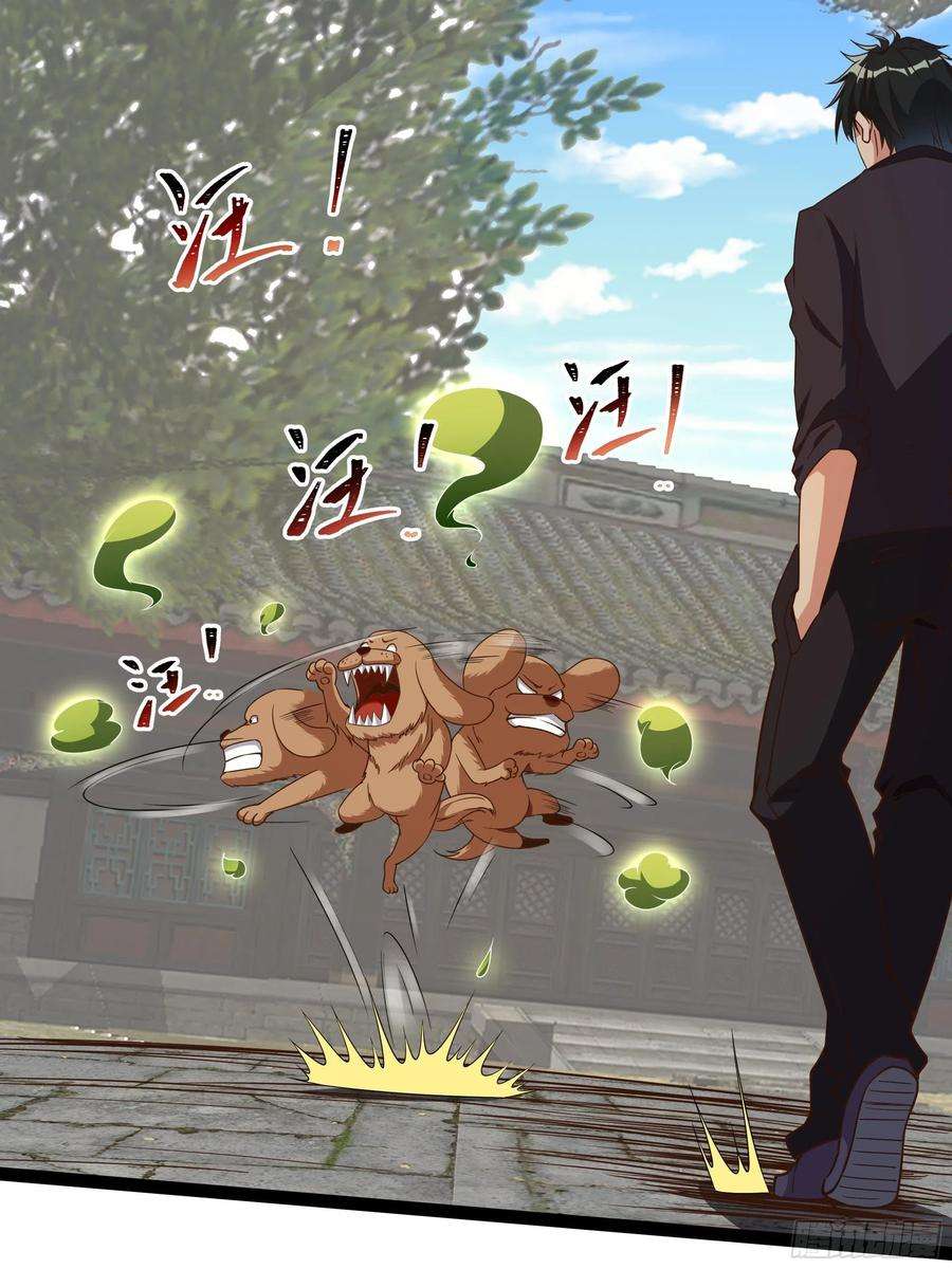 重生都市天尊311话 道丹极境