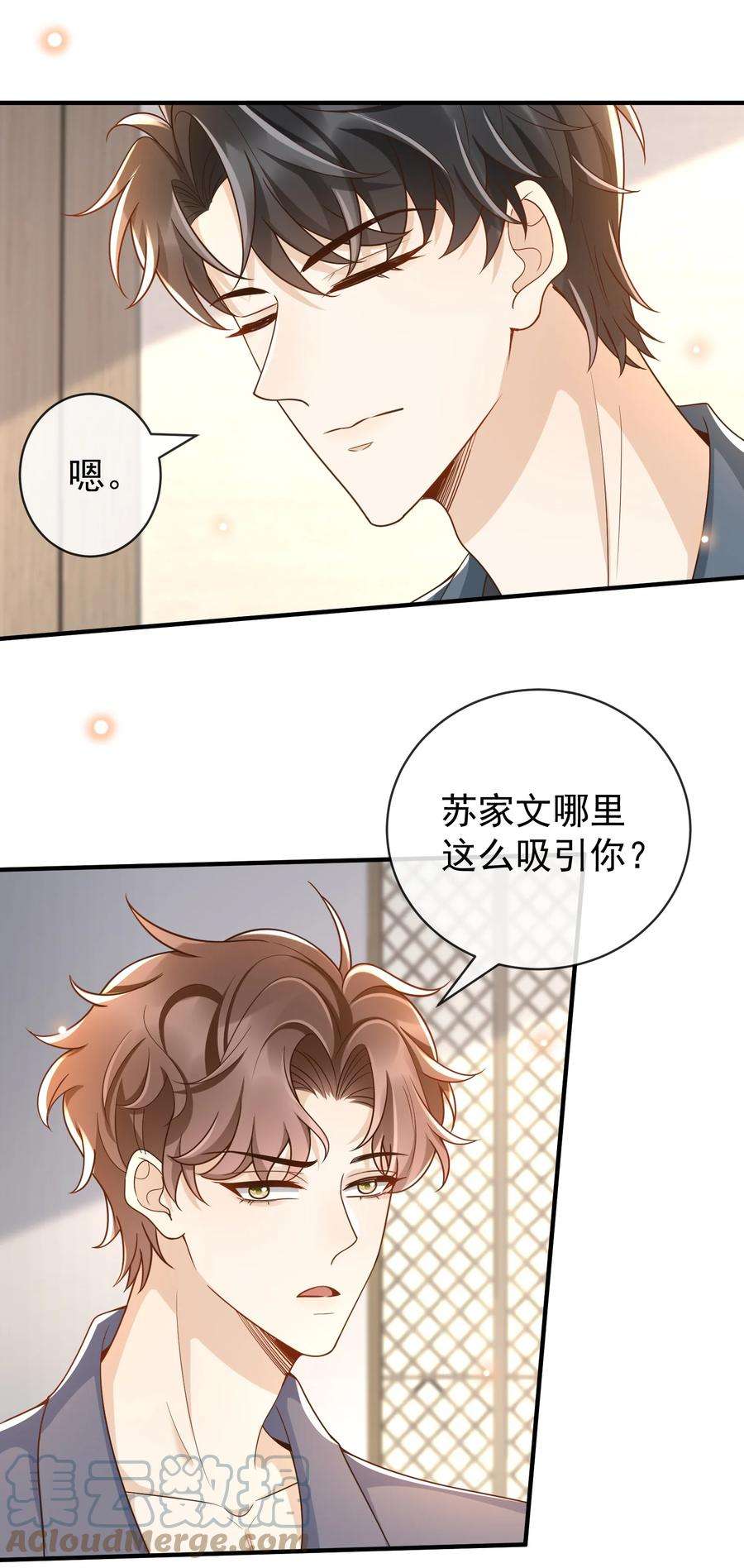 法外之徒037 你和苏家文定下来了？