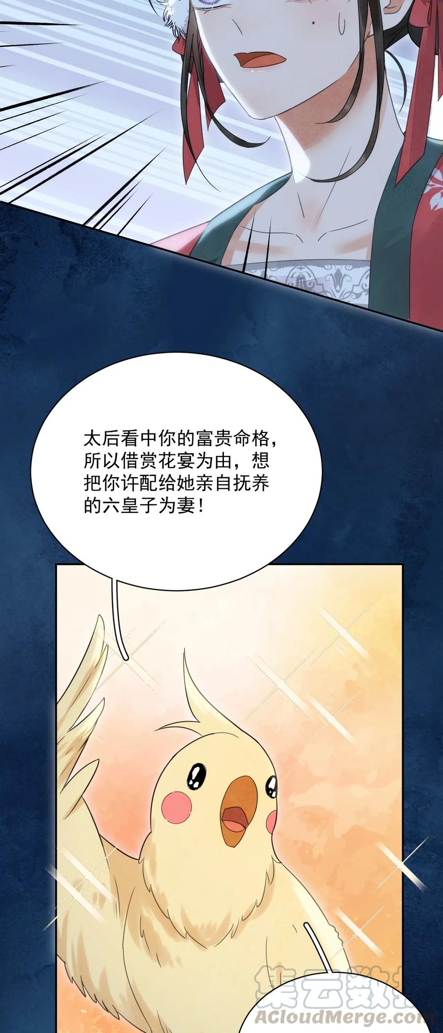 夫君，皇位是我的！11话 赏花宴