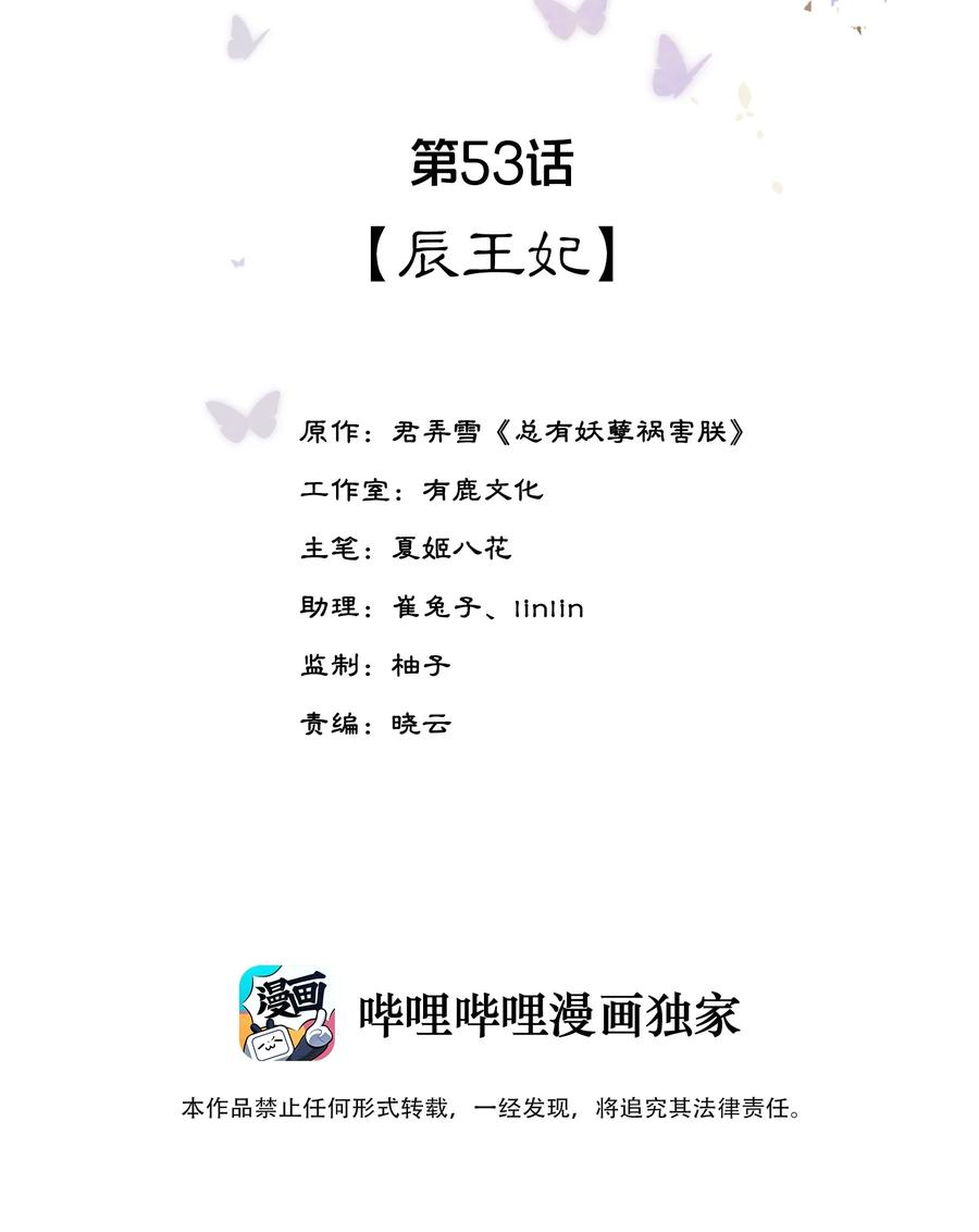 夫君，皇位是我的！53话 辰王妃
