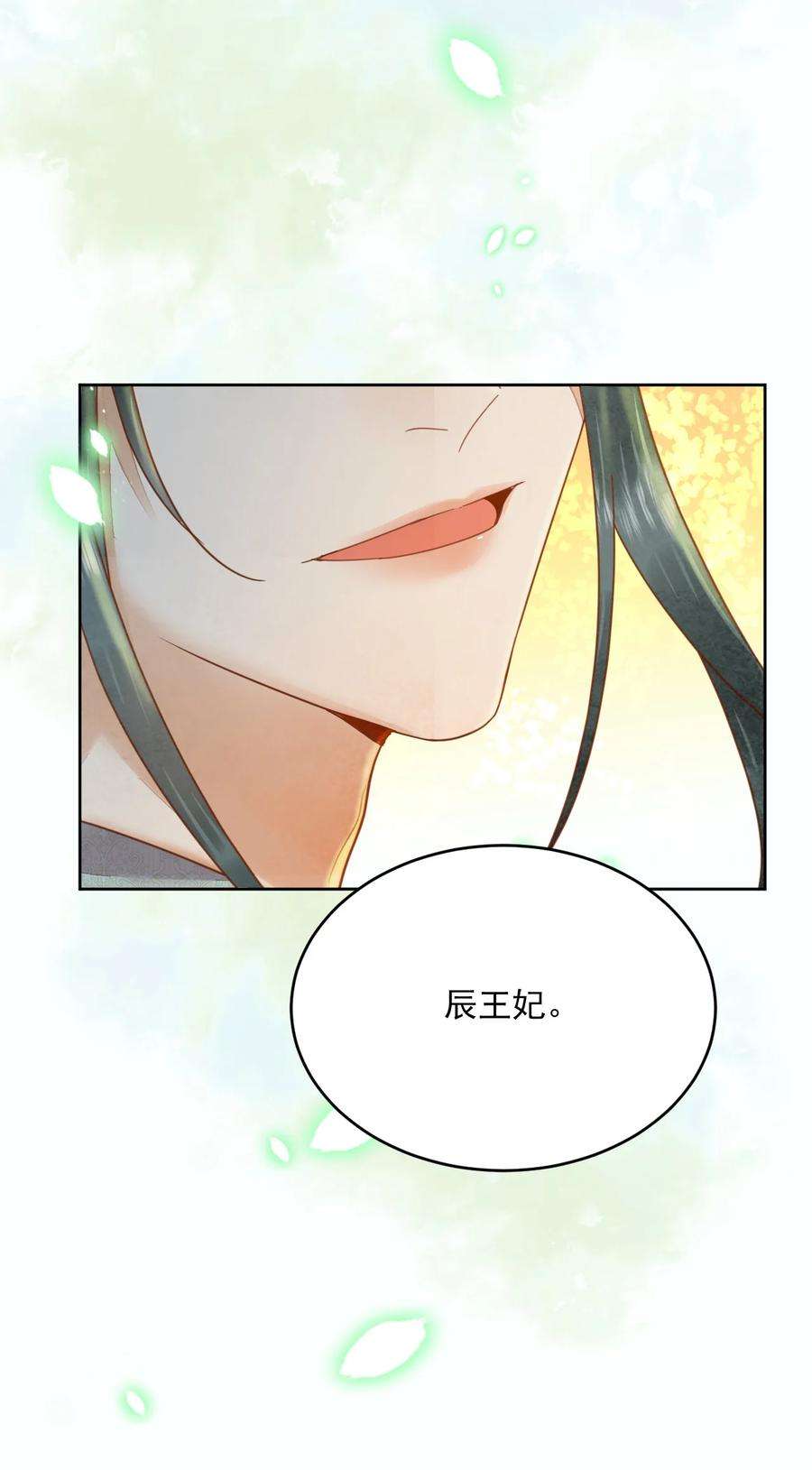 夫君，皇位是我的！53话 辰王妃