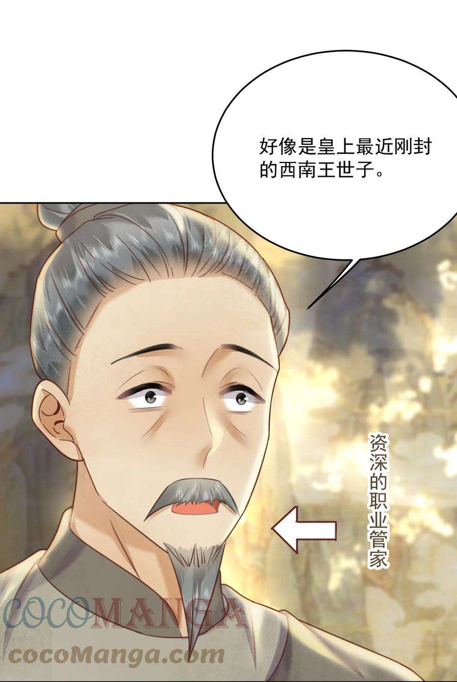 夫君，皇位是我的！56话 西南王世子