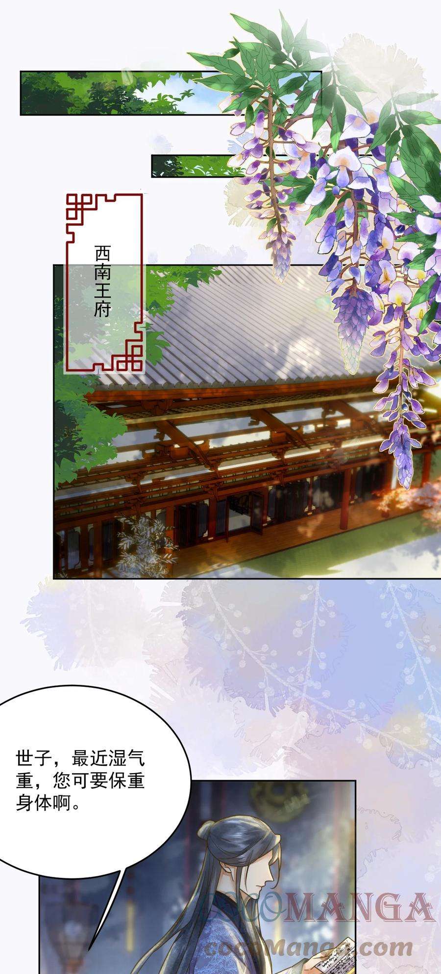 夫君，皇位是我的！56话 西南王世子