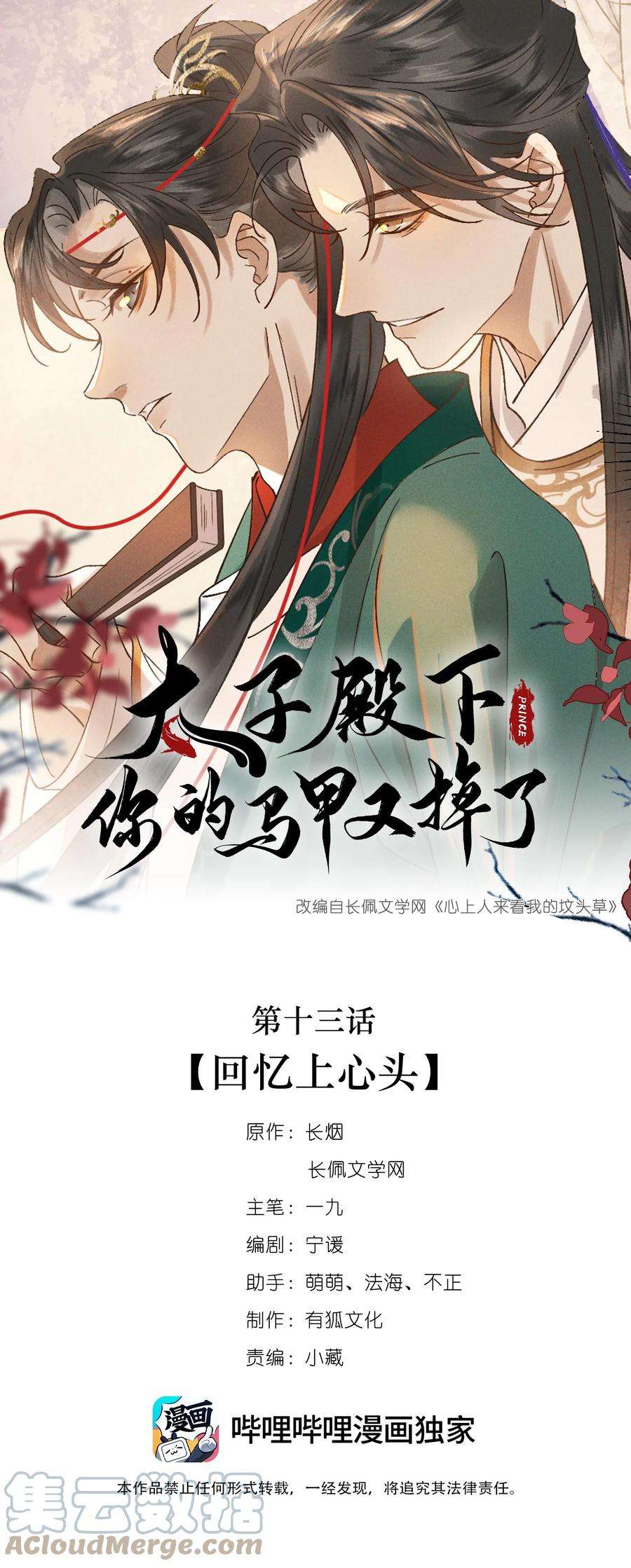 太子殿下你的马甲又掉了013 话忆上心头