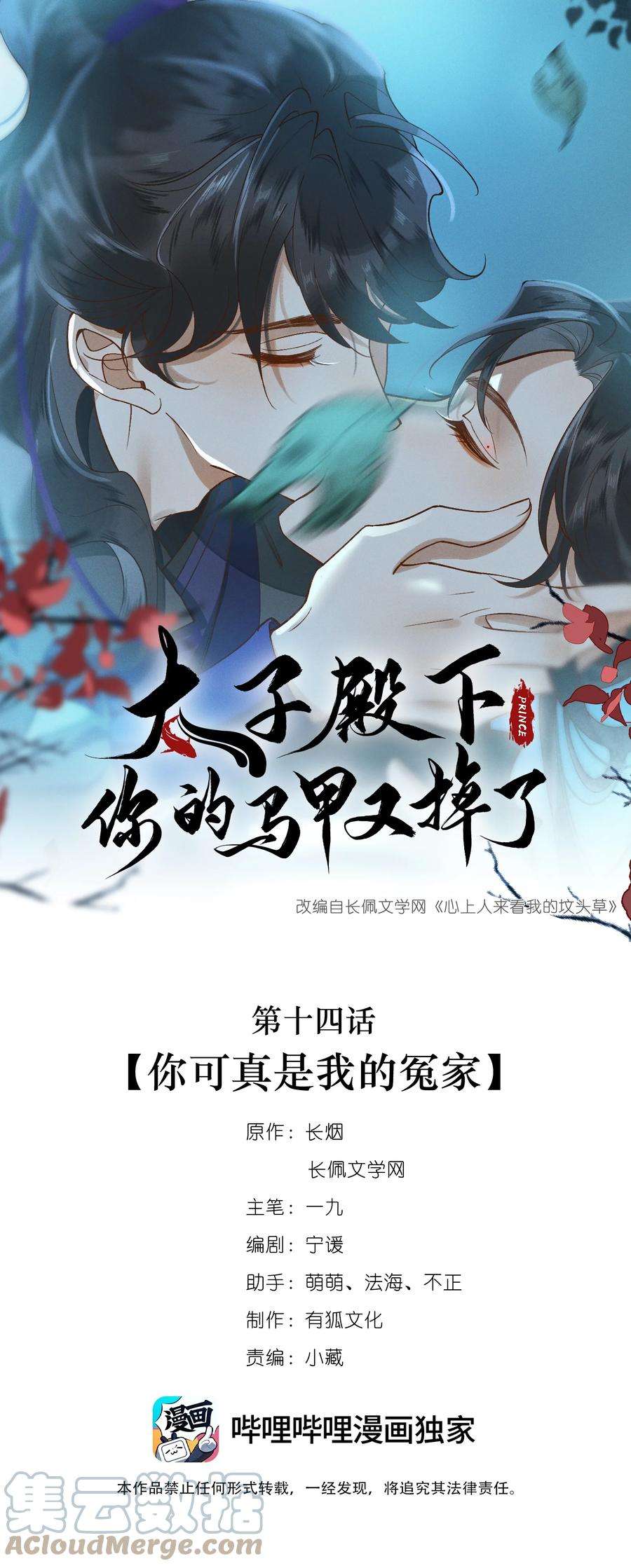 太子殿下你的马甲又掉了014 你可真是我的冤家