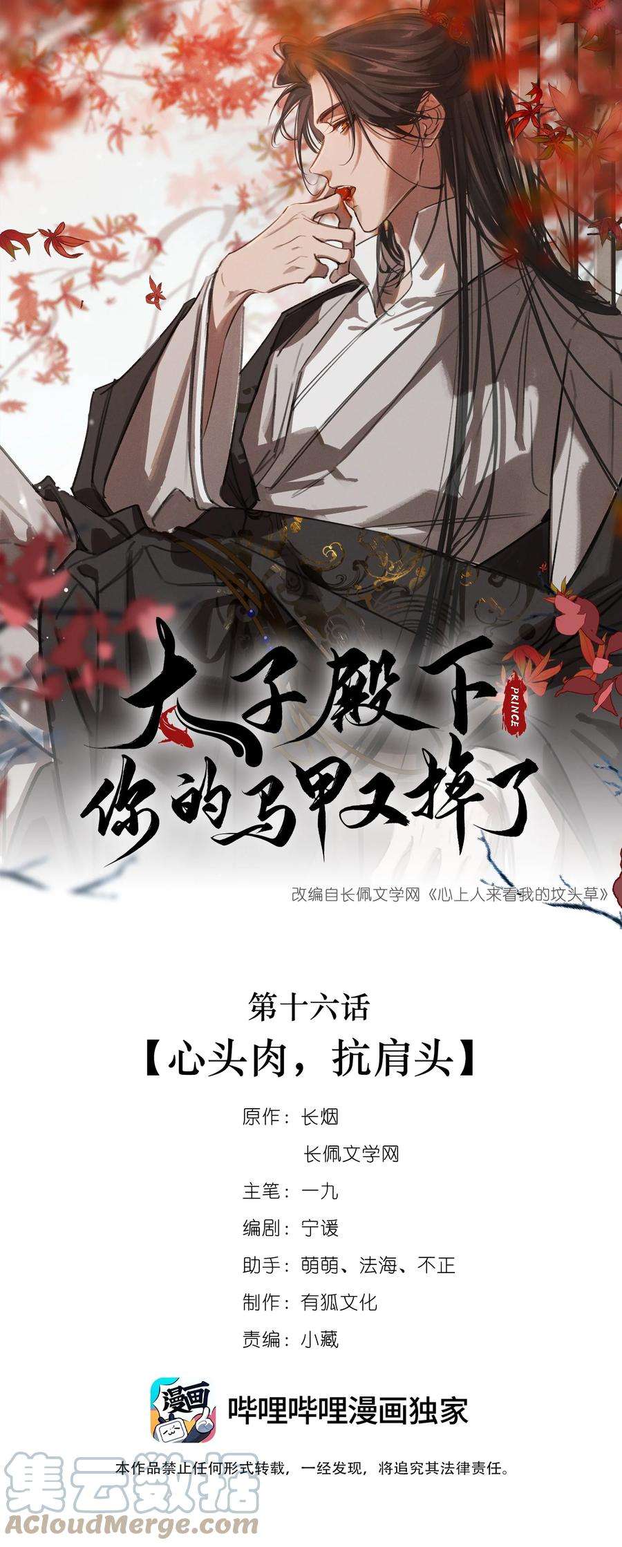 太子殿下你的马甲又掉了016 心头肉，抗肩头